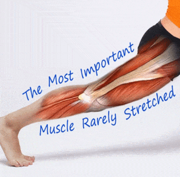 Stimulating Exercises